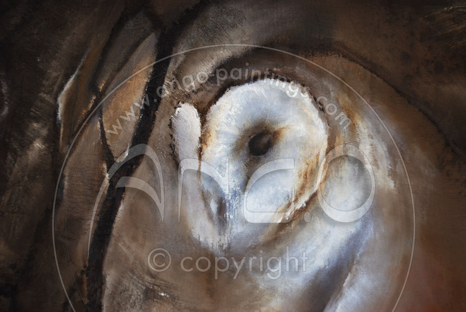 Animal paintings : Barn Owl Painting « Night encounter »