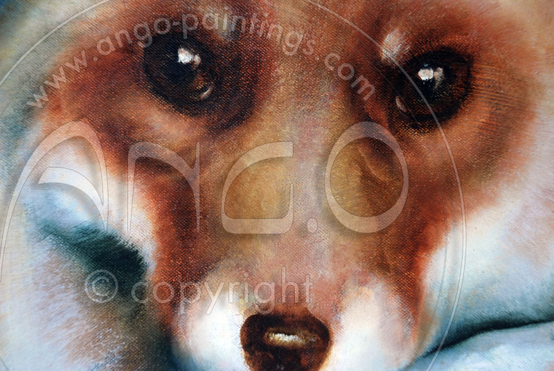 Wildlife Art : Fox painting « Young female »