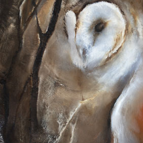 Barn owl painting