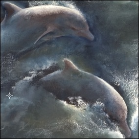 Dolphin painting