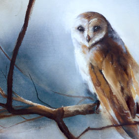 Owl painting