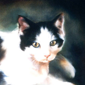 Animal paintings : Cat painting