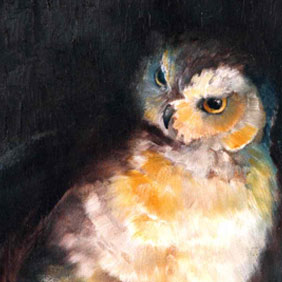 Animal paintings : Owl painting