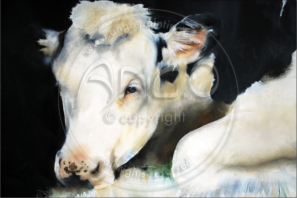 Animal paintings : Cow Painting « 6912 »